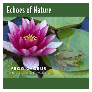 黑人巨鞭躁得嗷嗷叫
